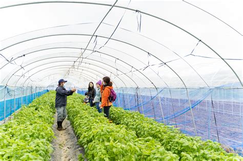 Nature Guide & Farming Experience | Endemic Garden H