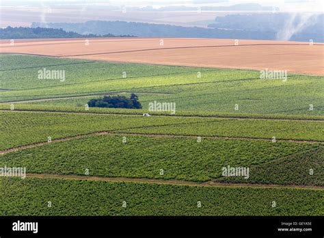 Rolling Hills Vineyards Hi Res Stock Photography And Images Alamy