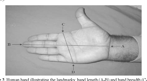 Figure 2 From Estimation Of Hand Index For Male Industrial Workers Of