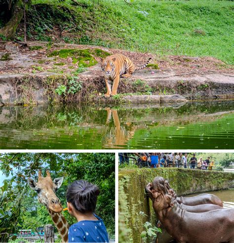 Malaysia Truly Asia - Zoo Taiping & Night Safari