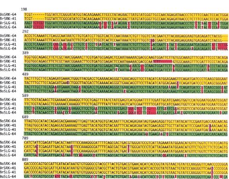 Figure From Coevolution Of The S Locus Genes Srk Slg And Sp Scr In