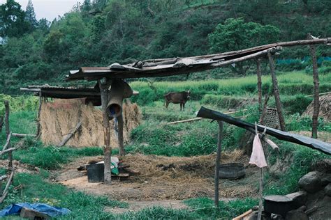 Travelers are asking how much does enterprise rent a car cost now 2