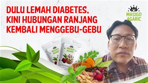 testimoni masigo agaric sigianto youtube