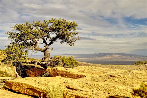 Gallup travel guide 2026 | Free PDF