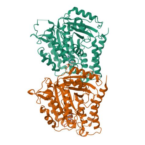 rcsb pdb ysn tubulin heterodimer structure  gmpcpp state  solution