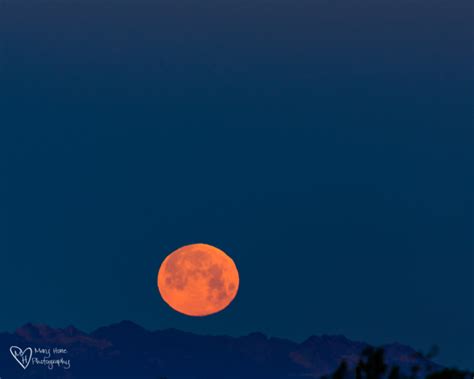 Good Night Moon - Tales from the Backroad