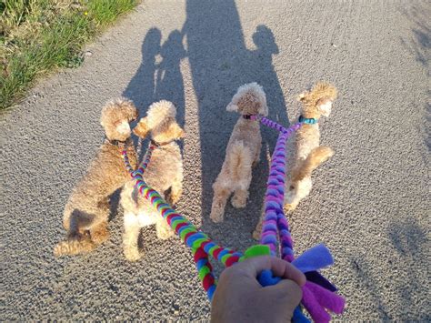 A new study shows curly plaited hair protects against split ends 30