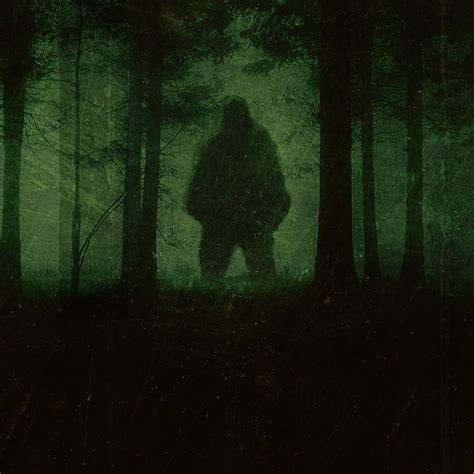 Stream Bigfoot Fear In The Woods Discovery