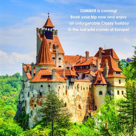 Our team has over 20 years of experience in the tourism field with all