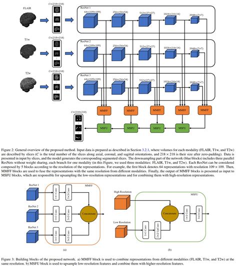 Multi Branch Convolutional Neural Network For Multiple Sclerosis Lesion Segmentation