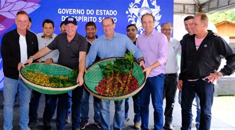 Abertura Da Colheita Do Caf Ar Bica No Esp Rito Santo Acontece Em