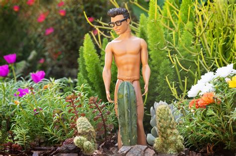 Gay Ken Doll Etsy