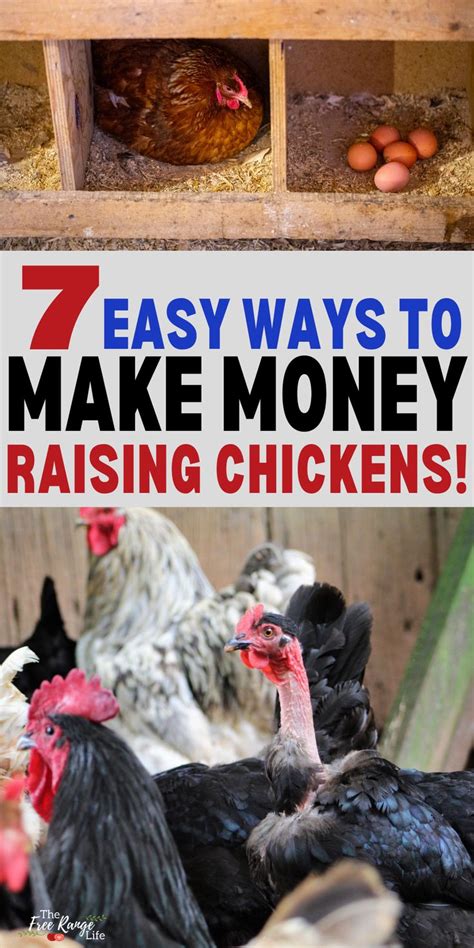 Profitable Poultry Make Money Raising Chickens Raising Backyard