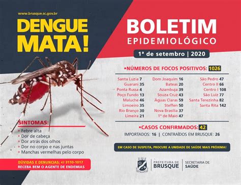 Brusque Registra 30 Novos Focos Do Mosquito Da Dengue Confira Boletim