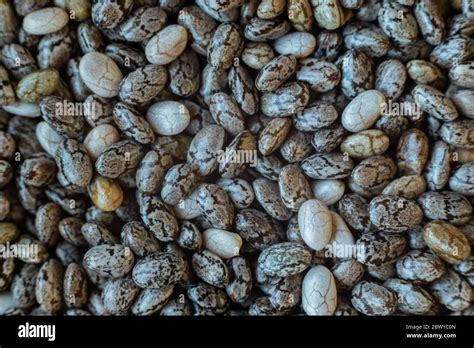 chia seeds macro texture close  view background stock photo alamy