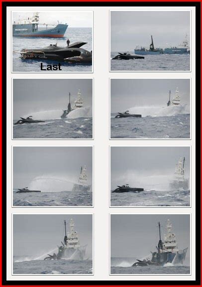 Don T Fuck With Teddy But If On Your Starboard Red Should Appear Tis Your Duty To Keep Clear