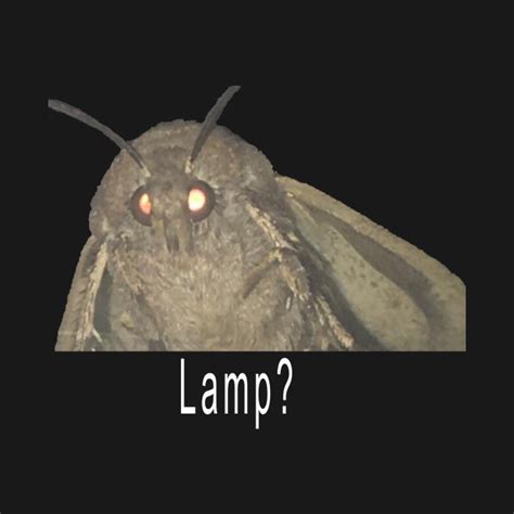 Moth Lamp Meme Moth Lamp T Shirt Teepublic