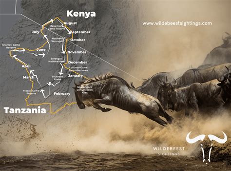 The Great Wildebeest Migration - Kenya And Tanzania - 2026 | 2027