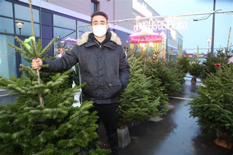 Photos Pays De Sarrebourg La Vente Des Sapins De No L Bat Son Plein