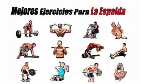 Los 5 Mejores Ejercicios Para La Espalda Rutinas De Entrenamiento