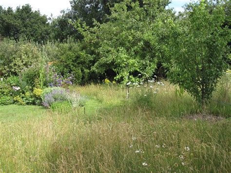 Wild Garden - Wild Spaces