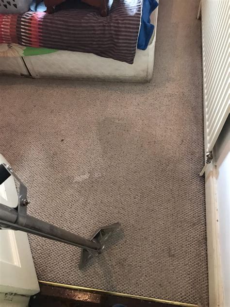 how to get carpet smell out 1