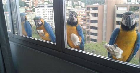 50 Mildly Interesting Things People Saw Through A Window And Just Had ...