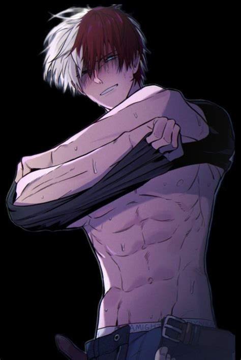 Todoroki Fanart Hot