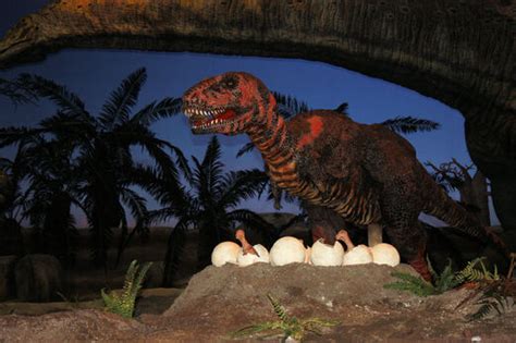 The Land Before Time The Reluctant Tarbosaurus Preview 2 New Ideas By Matt Weaver Wiki Fandom