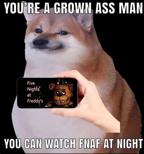 YOU RE A GROWN ASS MAN YOU CAN WATCH FNAF AT NIGHT IFunny