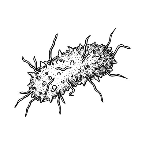 Premium Vector | Hand drawn black death plague virus isolated on white
