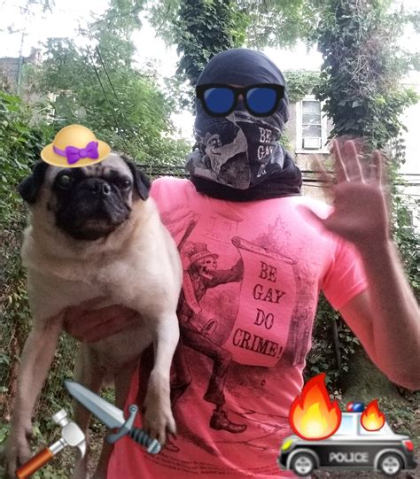 Be Gay Do Crime Shirts Etsy