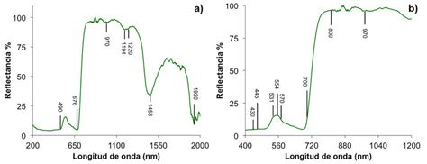 Reflectancia De Una Hoja De Ficus En Su Superficie Adaxial Para Las