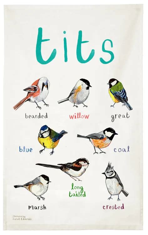 Buy Sarah Edmonds Tits Tea Towel Only 11 50