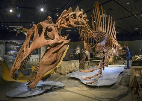 A dinosaur fit for land and water: Spinosaurus unveiled | PBS News Weekend