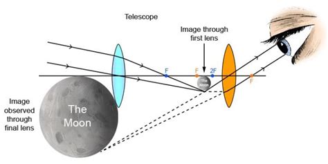 Examples Of Convex Lens Uses In Daily Life Studiousguy