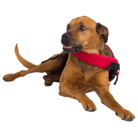 Nrs Cfd Dog Life Jacket Mountain Tek