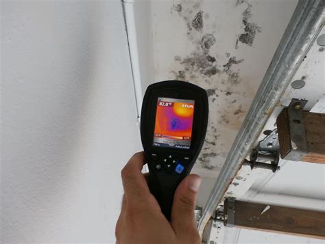 Catstrong Mold Removal Mold Remediation Service In Austin Tx