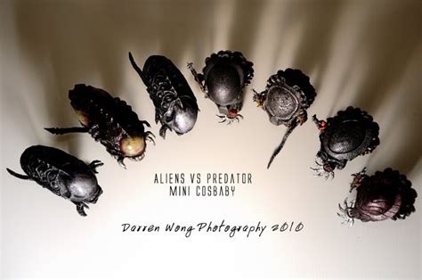 Jojosochi S Collection Hot Toys Mini Cosbaby Alien Vs Predator