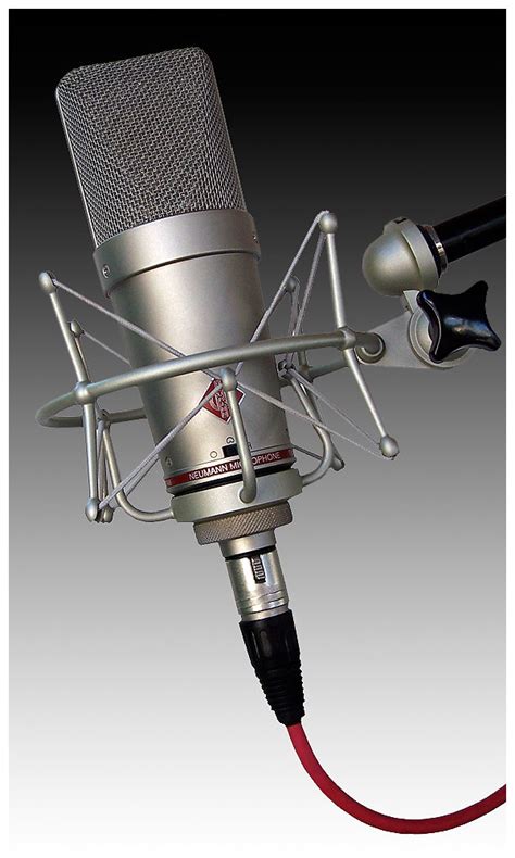 Neumann Model Tlm