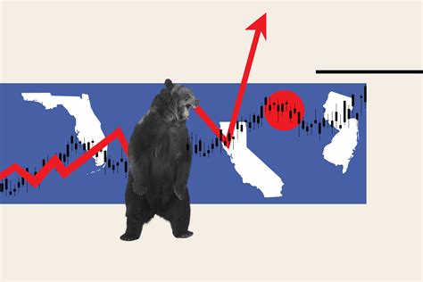 Black Bear Encounters Are Surging In 18 States Newsweek