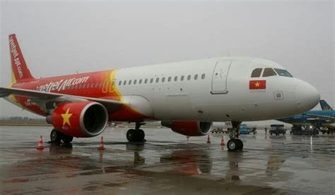 Bikini Airline Bikini