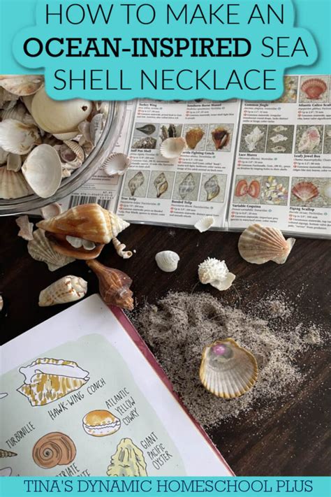 How to Make an Ocean-Inspired Sea Shell Necklace | 8 Summer Beach Crafts