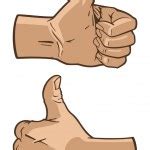 Hand Show Fuck Stock Vector Image By Svetap