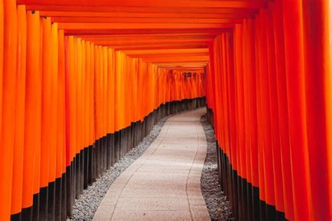 【京都】伏見稲荷大社の観光ガイド：朱色の千本鳥居に圧倒される おすすめ旅行を探すならトラベルブックtravelbook