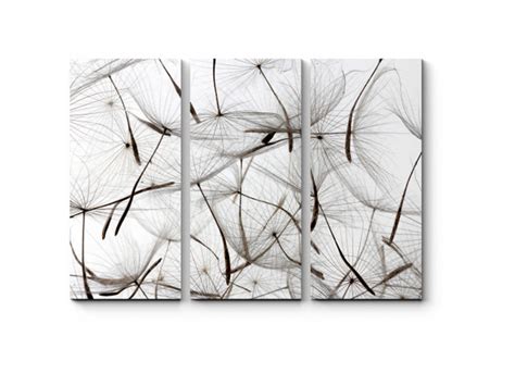 Модульная картина Семена одуванчика - купить по выгодной цене в ...