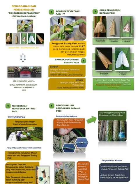 Leaflet Penggerek Batang Padi David Hermawan Sp Pdf