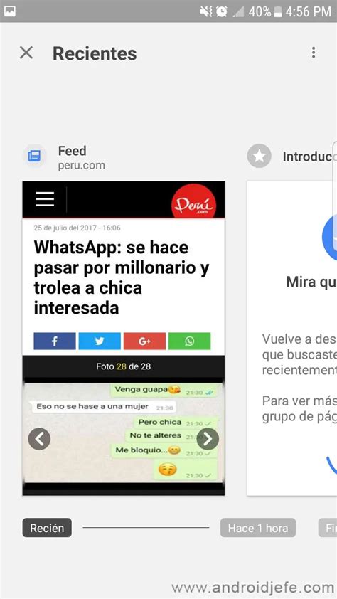 Qu Pasa Si Borro El Feed De Google Haras Dadinco