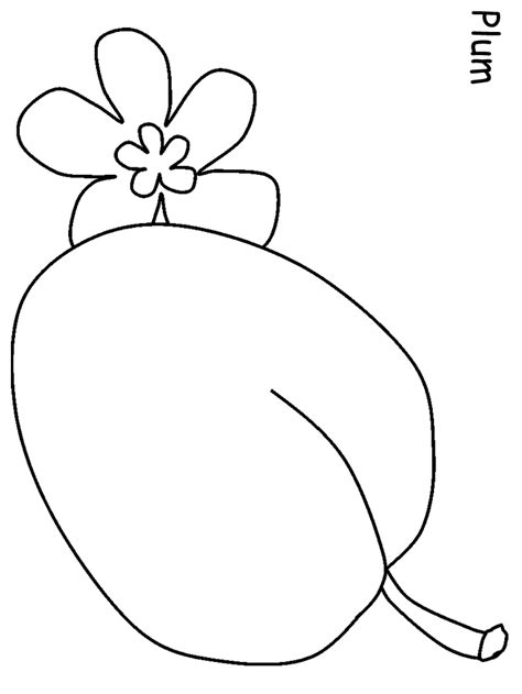 Plum Fruit Coloring Pages And Coloring Book 6000 Coloring Pages