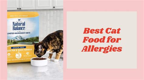 Cat Food Allergies Common - Is there a connection between itchy skin ...